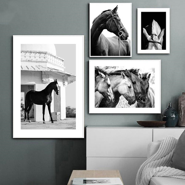 Black And White Horse Canvas Painting